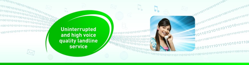 Pinkey Internet Product Image